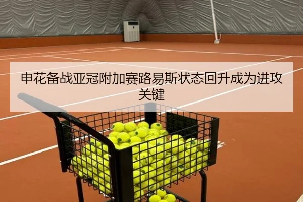 申花备战亚冠附加赛路易斯状态回升成为进攻关键